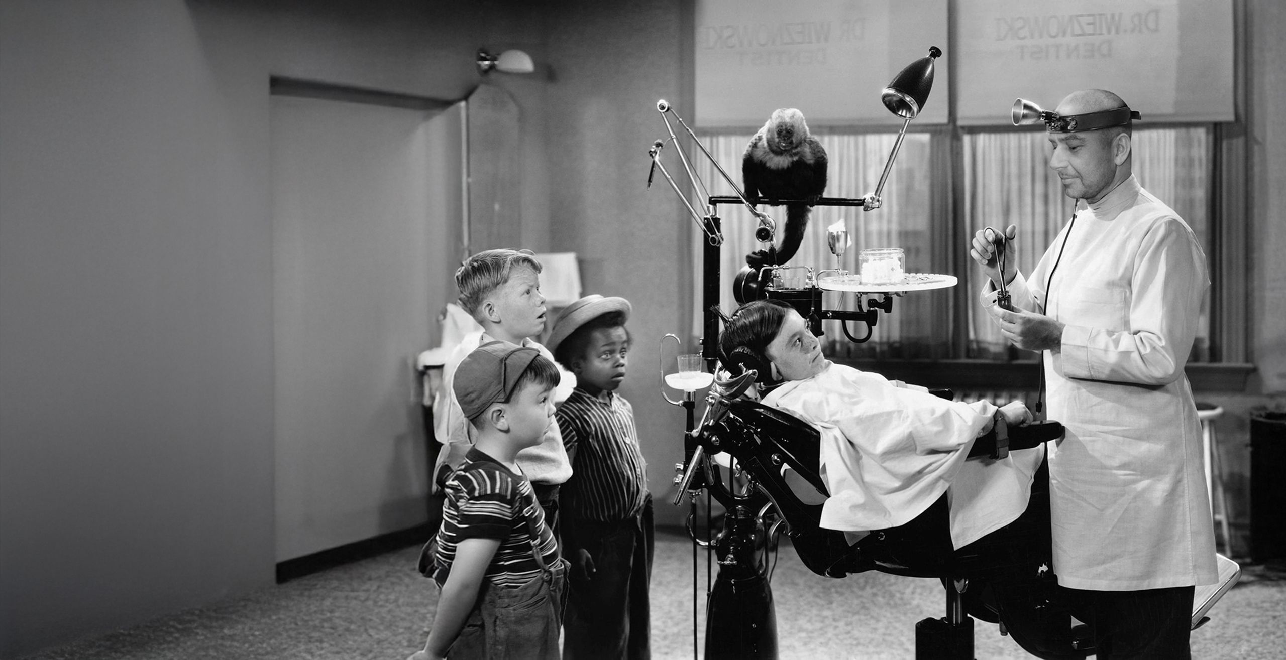 Stomatolog Wrocław | Bezbolesne usuwanie zębów | Dentysta Centrum Wrocław